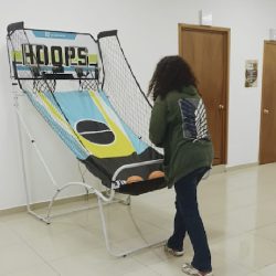 basket_12