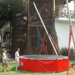 bungee_1 bungee_1